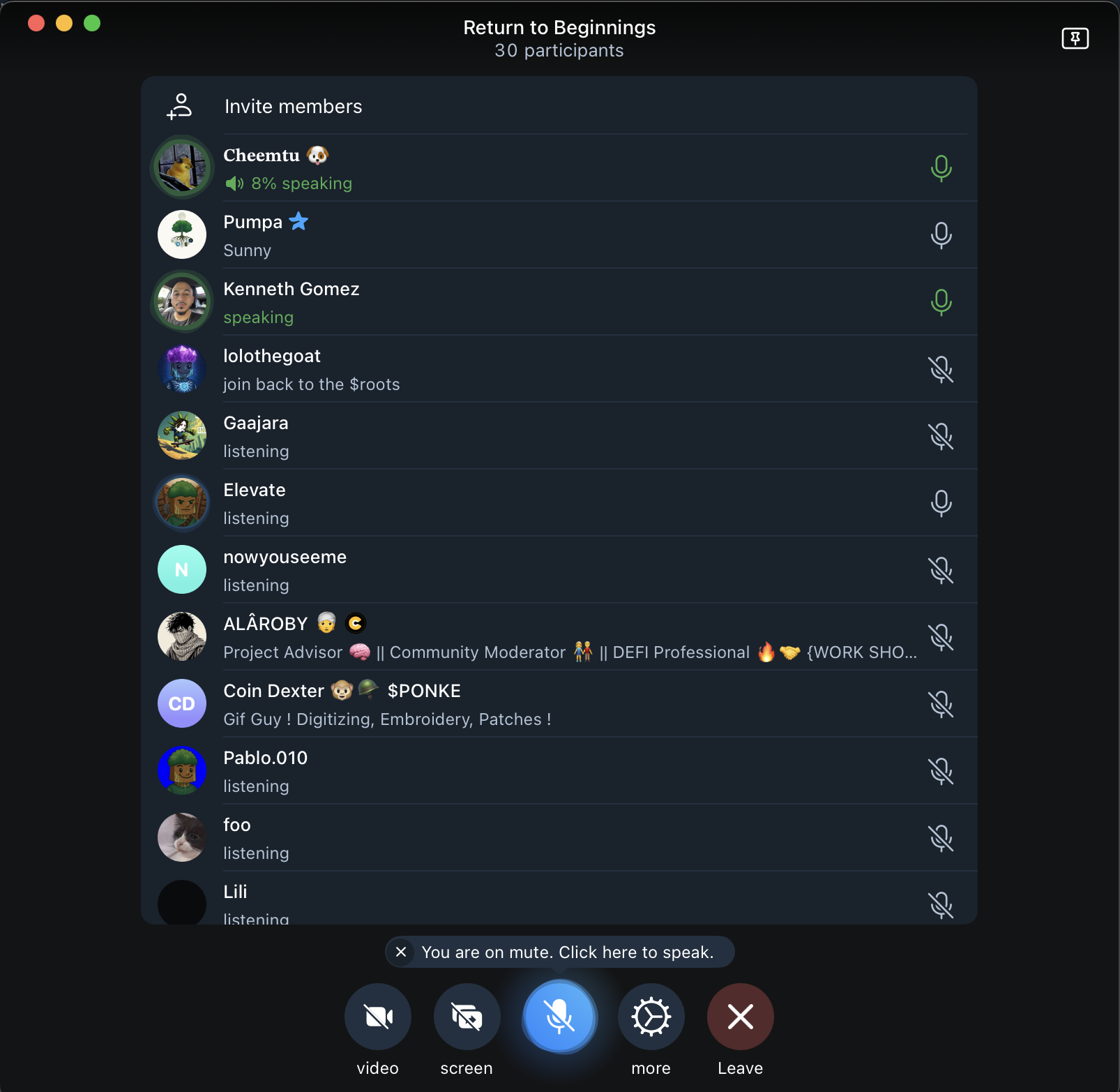 Voice chat community